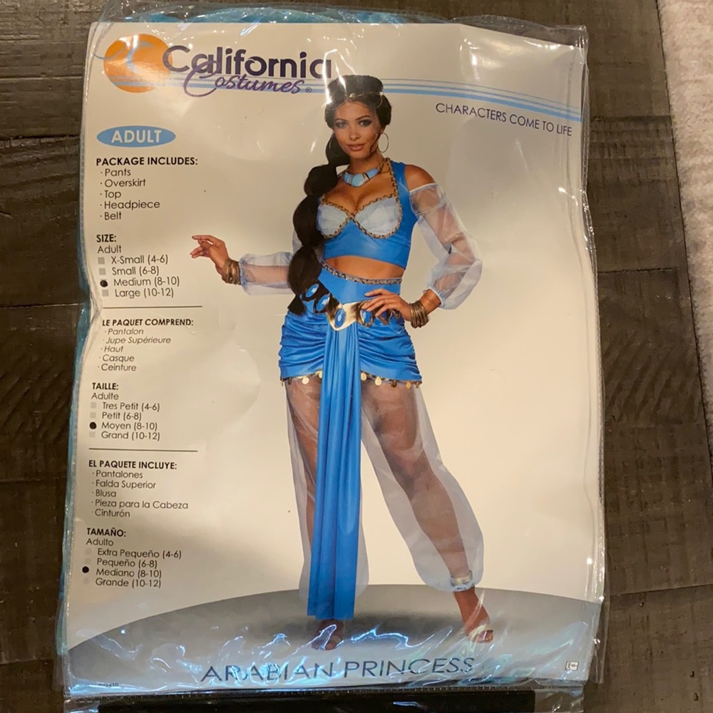 Adult Arabian Princess, Halloween Costume